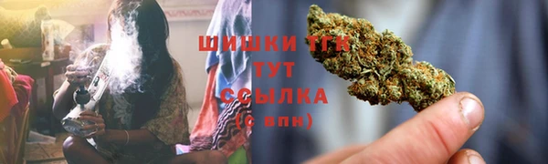 PSILOCYBIN Богородск