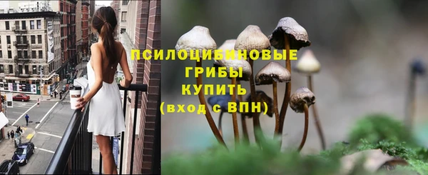 PSILOCYBIN Богородск